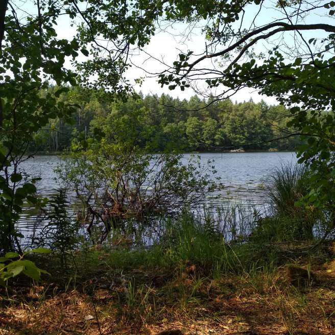 117554425_2743403132592615_1796292108920970946_n